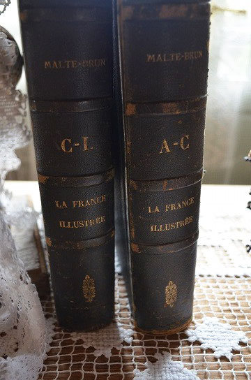 La France IllustreeؼԤΥƥ,ƥ֥å,ɥ֥å,Victor Adolphe Malte-Brun,ɽ,եƥ,,5