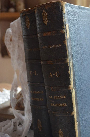 La France IllustreeؼԤΥƥ,ƥ֥å,ɥ֥å,Victor Adolphe Malte-Brun,ɽ,եƥ,,3
